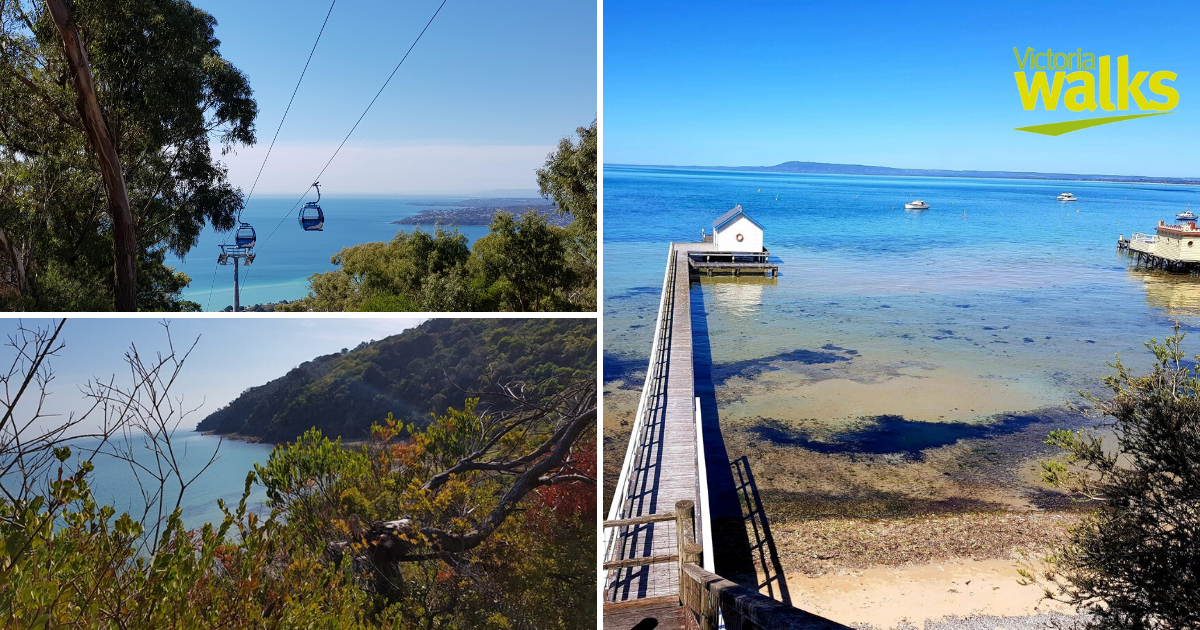 Victoria Walks: Mornington Peninsula walks